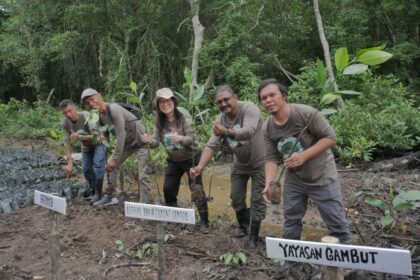 Aramco bersama LSM lingkungan dan Pemerintah Daerah Rayakan Sukses Program Konservasi Mangrove di Kabupaten Bengkalis