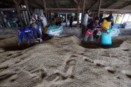 Indonesia Swasembada Pangan hingga 2026