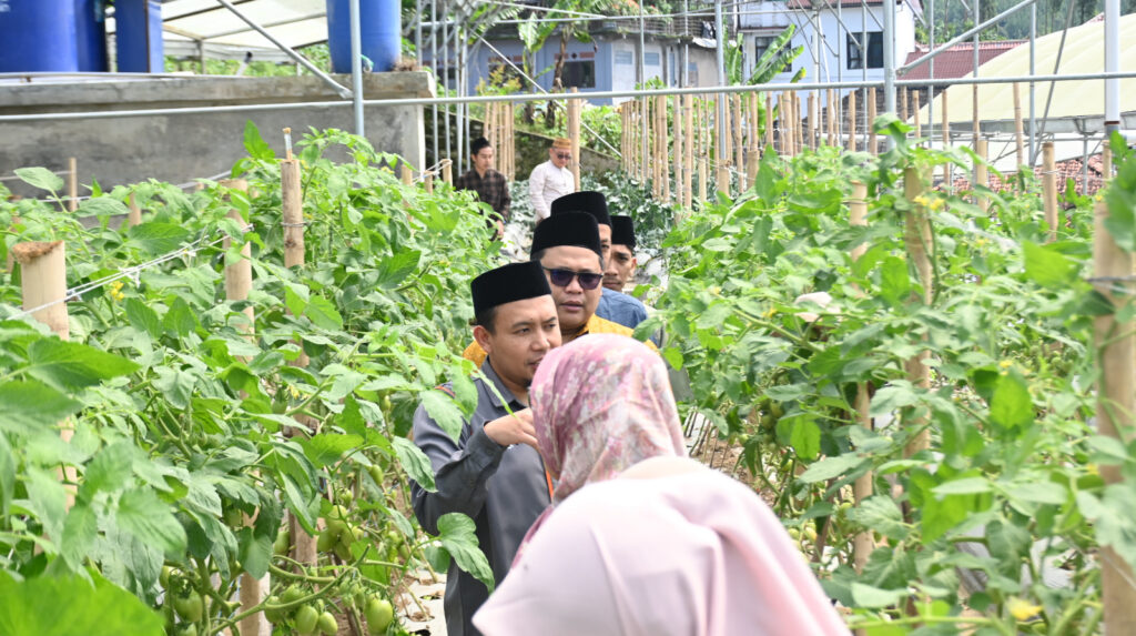 Pesantren Al Ittifaq Raih Pasar Nasional Sayur