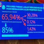 BPK Ungkap Defisit APBD Riau 2024