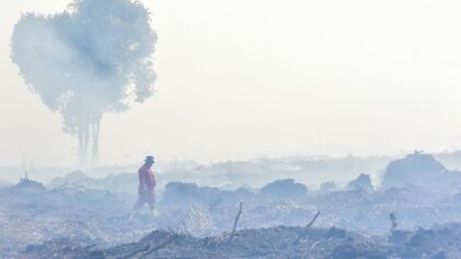 Petugas Manggala Agni Daops Kota Jambi menerobos kepulan asap kebakaran hutan dan lahan (karhutla) di lahan gambut Desa Gambut Jaya, Muaro Jambi, Jambi, 22 Juli 2025. Antara/Wahdi Septiawan