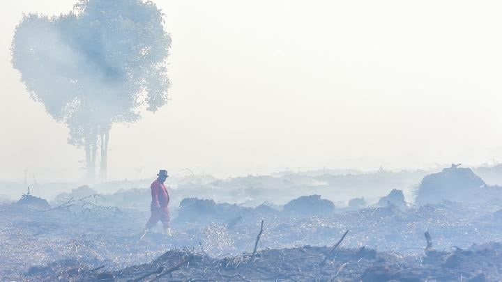 Petugas Manggala Agni Daops Kota Jambi menerobos kepulan asap kebakaran hutan dan lahan (karhutla) di lahan gambut Desa Gambut Jaya, Muaro Jambi, Jambi, 22 Juli 2025. Antara/Wahdi Septiawan