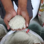 Cegah Oplosan Beras, Pemerintah Hapus Kelas Premium-Medium