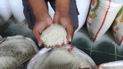 Cegah Oplosan Beras, Pemerintah Hapus Kelas Premium-Medium