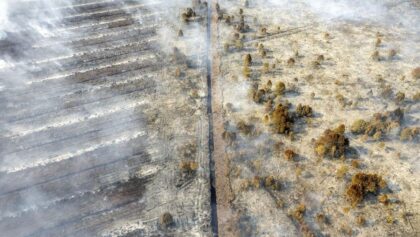 Foto udara Kebakaran hutan dan lahan di Desa Gambut Jaya, Muaro Jambi. senin 21/07/2025. ANTARA FOTO/Wahdi Septiawan