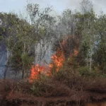 DOKUMENTASI BPBD LIMAPULUH KOTA