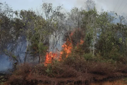 DOKUMENTASI BPBD LIMAPULUH KOTA