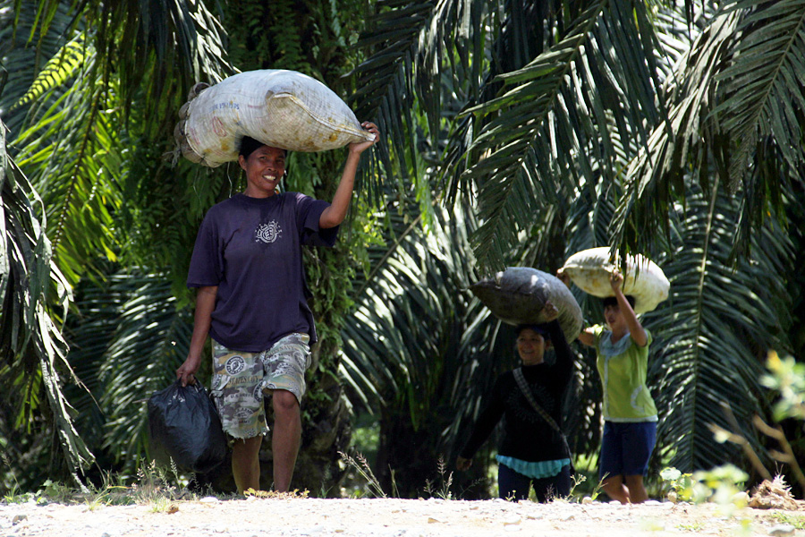 Foto: Serikat Petani Indonesia