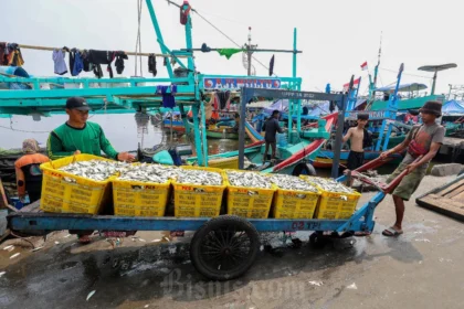 Pekerja memindahkan ikan hasil tangkapan nelayan di Dermaga Pelabuhan Muara Angke, Jakarta, Selasa (9/7/2024). Bisnis/Eusebio Chrysnamurti
