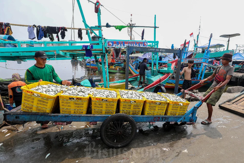 Pekerja memindahkan ikan hasil tangkapan nelayan di Dermaga Pelabuhan Muara Angke, Jakarta, Selasa (9/7/2024). Bisnis/Eusebio Chrysnamurti