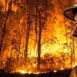 ilustrasi kebakaran lahan dan hutan