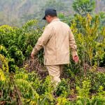 Presiden Prabowo Subianto meninjau kebakaran hutan dan lahan di Riau.