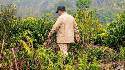 Presiden Prabowo Subianto meninjau kebakaran hutan dan lahan di Riau.